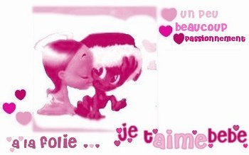 je t aime &agrave; la folie